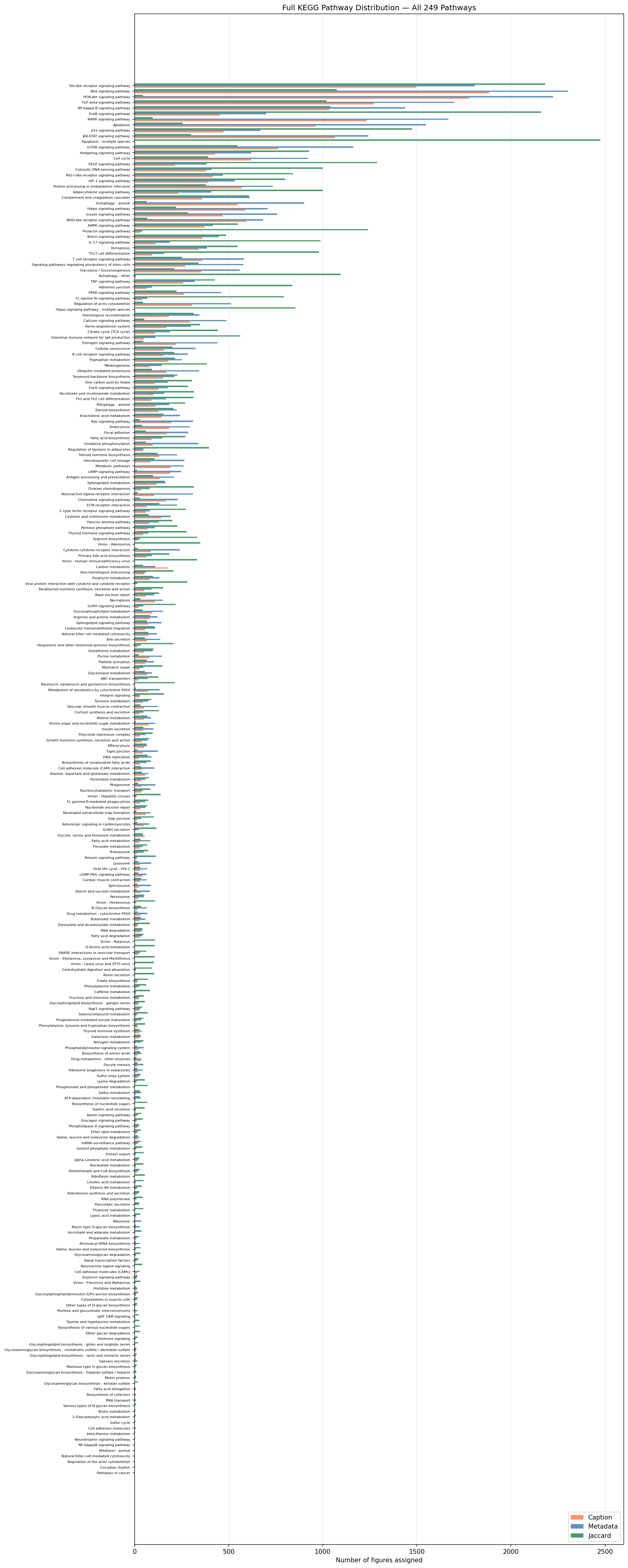 Full KEGG pathway distribution